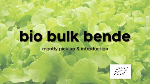 Ophaaldag & introductie